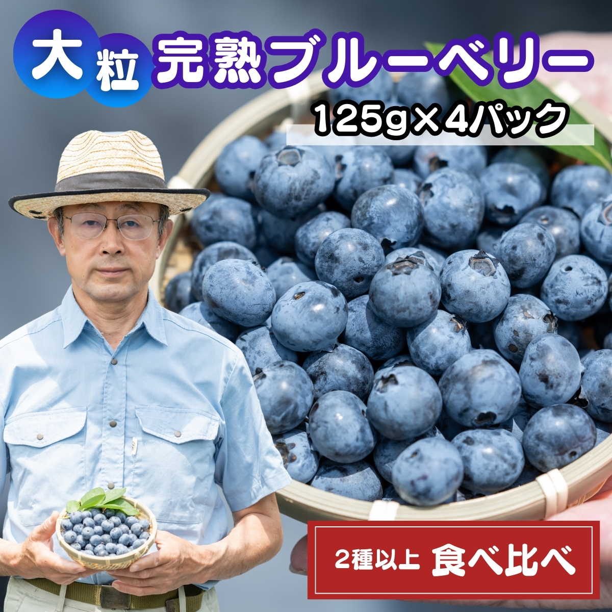 ブルーベリー 食べ比べ 2種以上 計4パック (125g?4)埼玉県北本市12000果物・フルーツ