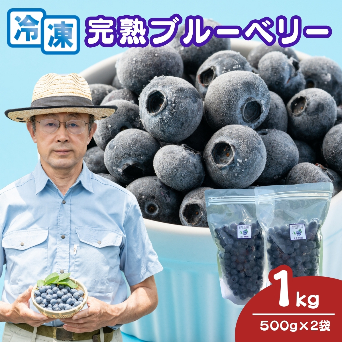 ブルーベリー 冷凍 2袋 (500g?2) 計 1kg埼玉県北本市11000果物・フルーツ