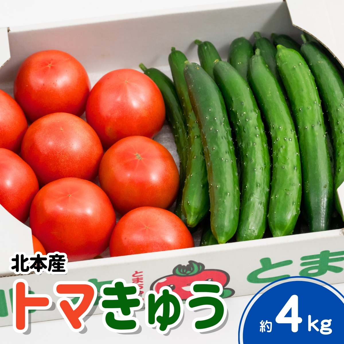 トマト きゅうりセット 計約4kg埼玉県北本市12000野菜・きのこトマト