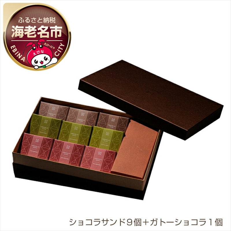 【ショコラトリーサンドグラス】ギフトアソート (ショコラサンド9個+ガトーショコラ1個)【 お菓子・スイーツ 神奈川県 海老名市 】神奈川県海老名市25000菓子・スイーツ