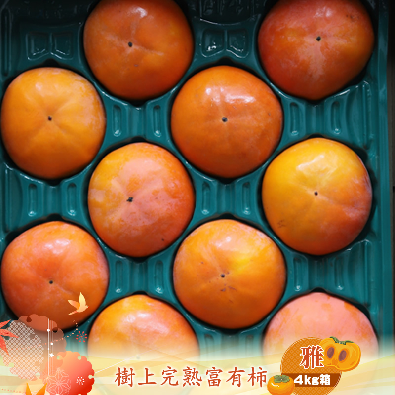 樹上甘熟富有柿 【雅】4kg箱 〈出荷時期:2025年11月20日出荷開始〜2025年12月15日出荷終了〉【 柿 かき フルーツ 神奈川県 海老名市 】神奈川県海老名市18000果物・フルーツその他 果物・フル