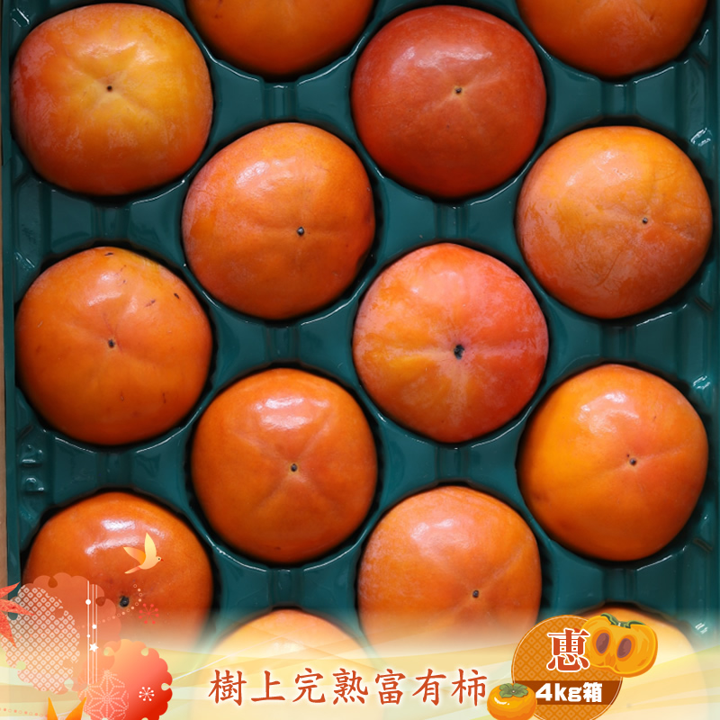 樹上甘熟富有柿 【恵】4kg箱 〈出荷時期:2025年11月20日出荷開始〜2025年12月15日出荷終了〉【 柿 かき フルーツ 神奈川県 海老名市 】神奈川県海老名市16000果物・フルーツその他 果物・フル