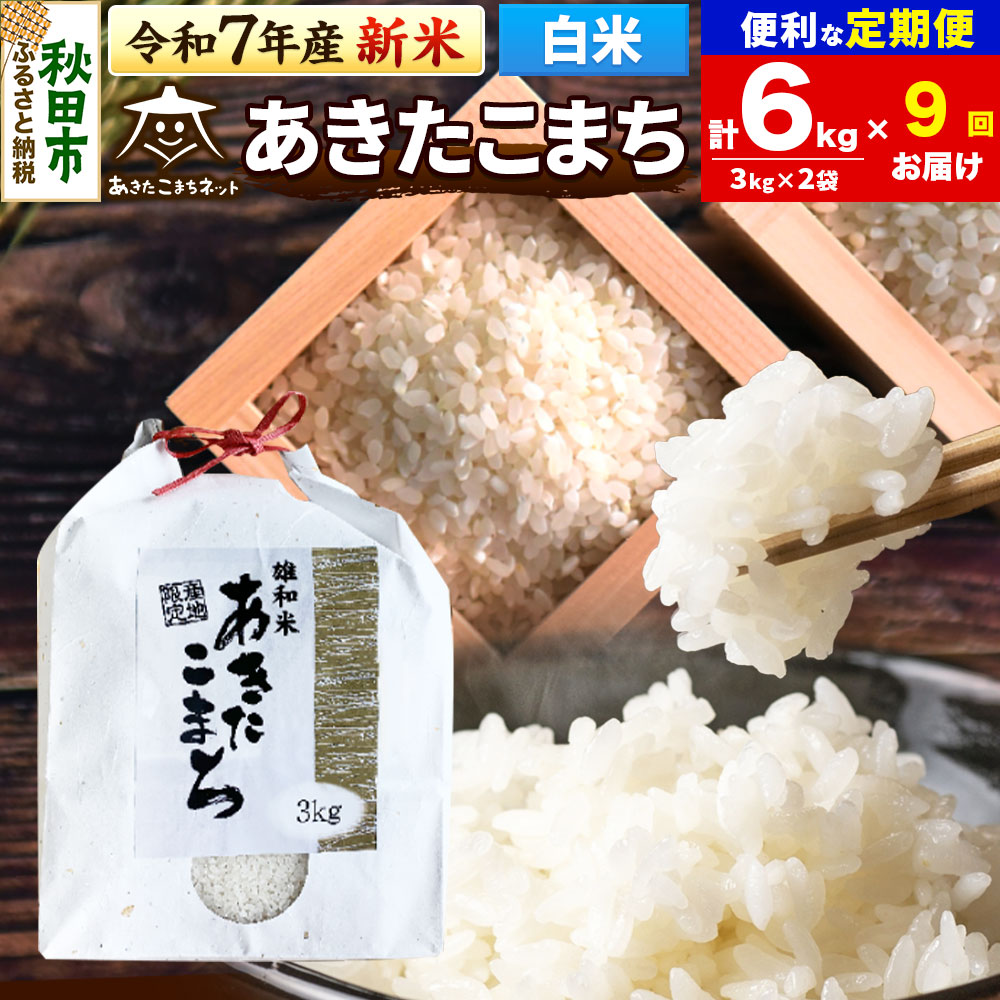 《令和7年産 新米受付》《定期便9ヶ月》あきたこまち 清流米 6kg(3kg×2袋)【白米】 秋田市雄和産秋田県秋田市261000米・パン白米