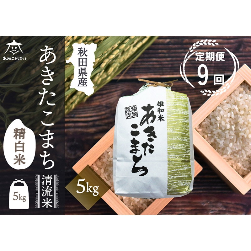 《定期便9ヶ月》あきたこまち 清流米 5kg【白米】 秋田市雄和産秋田県秋田市261000米・パン白米