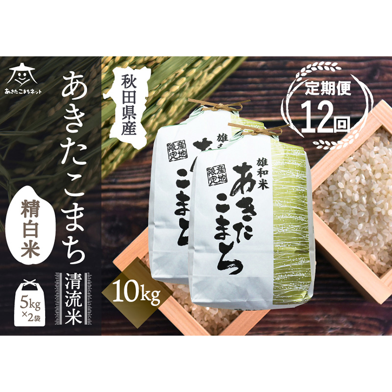 《定期便12ヶ月》あきたこまち 清流米 10kg(5kg×2袋)【白米】 秋田市雄和産秋田県秋田市666000米・パン白米