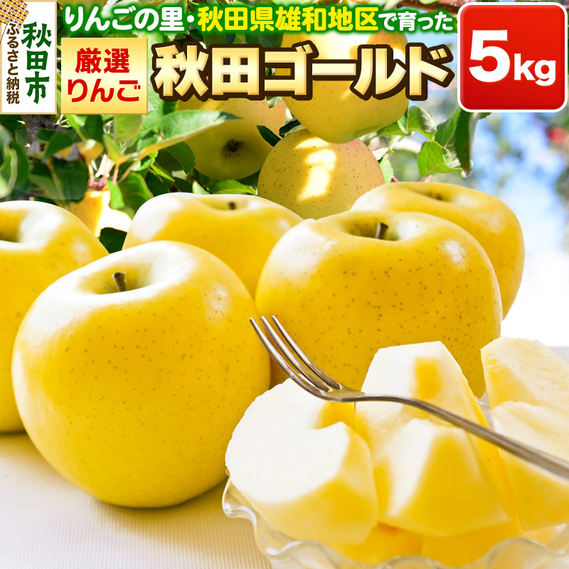 りんごの里・秋田県雄和地区で育った厳選りんご 秋田ゴールド 5kg 【期間限定】秋田県秋田市16500果物・フルーツ