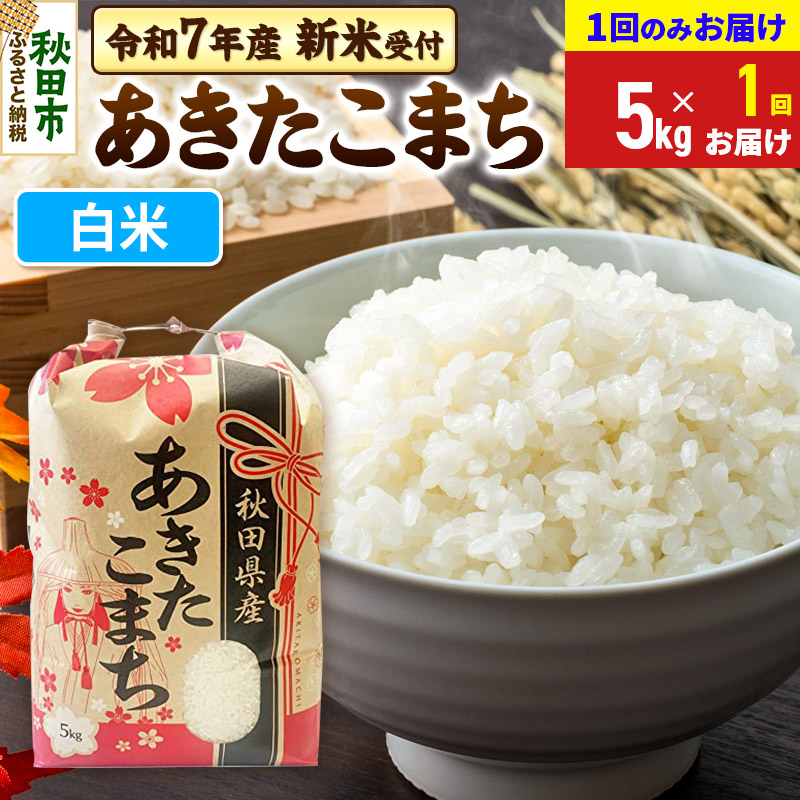 《令和7年産 新米受付》あきたこまち 5kg【1回のみお届け】【白米】秋田県産 こまちライン秋田県秋田市19500米・パン白米