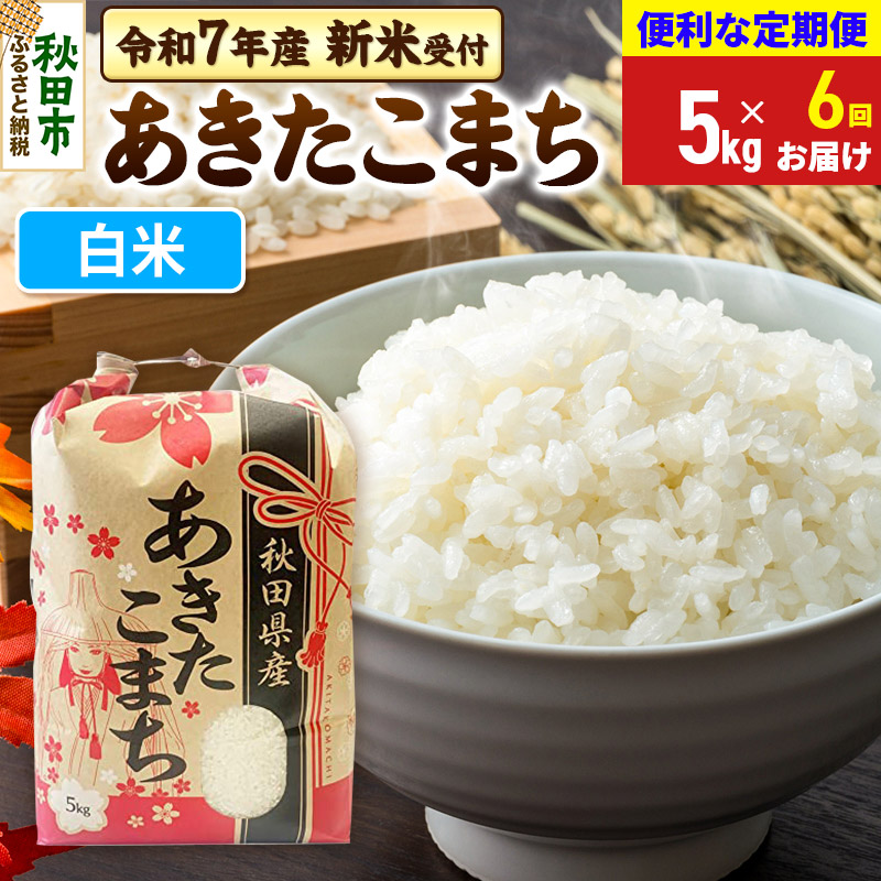 《令和7年産 新米受付》《定期便6ヶ月》 あきたこまち 5kg【白米】秋田県産 こまちライン秋田県秋田市117000米・パン白米