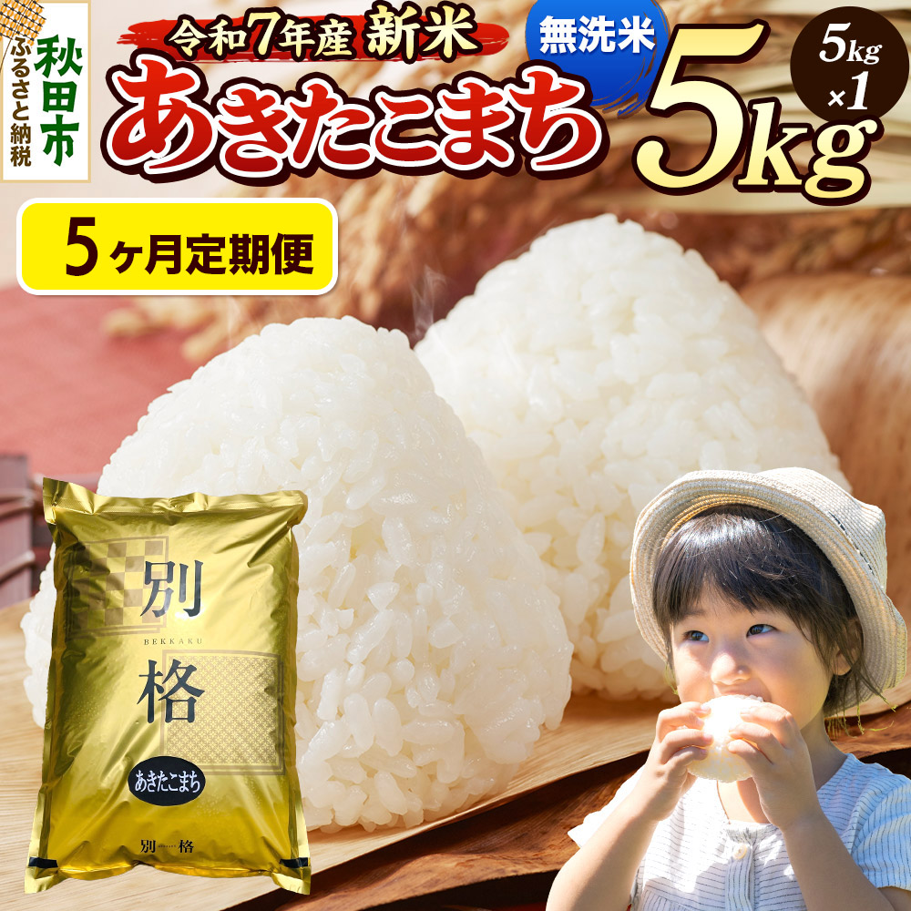 《令和7年産 新米》《定期便5ヶ月》 米 あきたこまち 5kg 【無洗米】 秋田県産秋田県秋田市80000米・パン無洗米