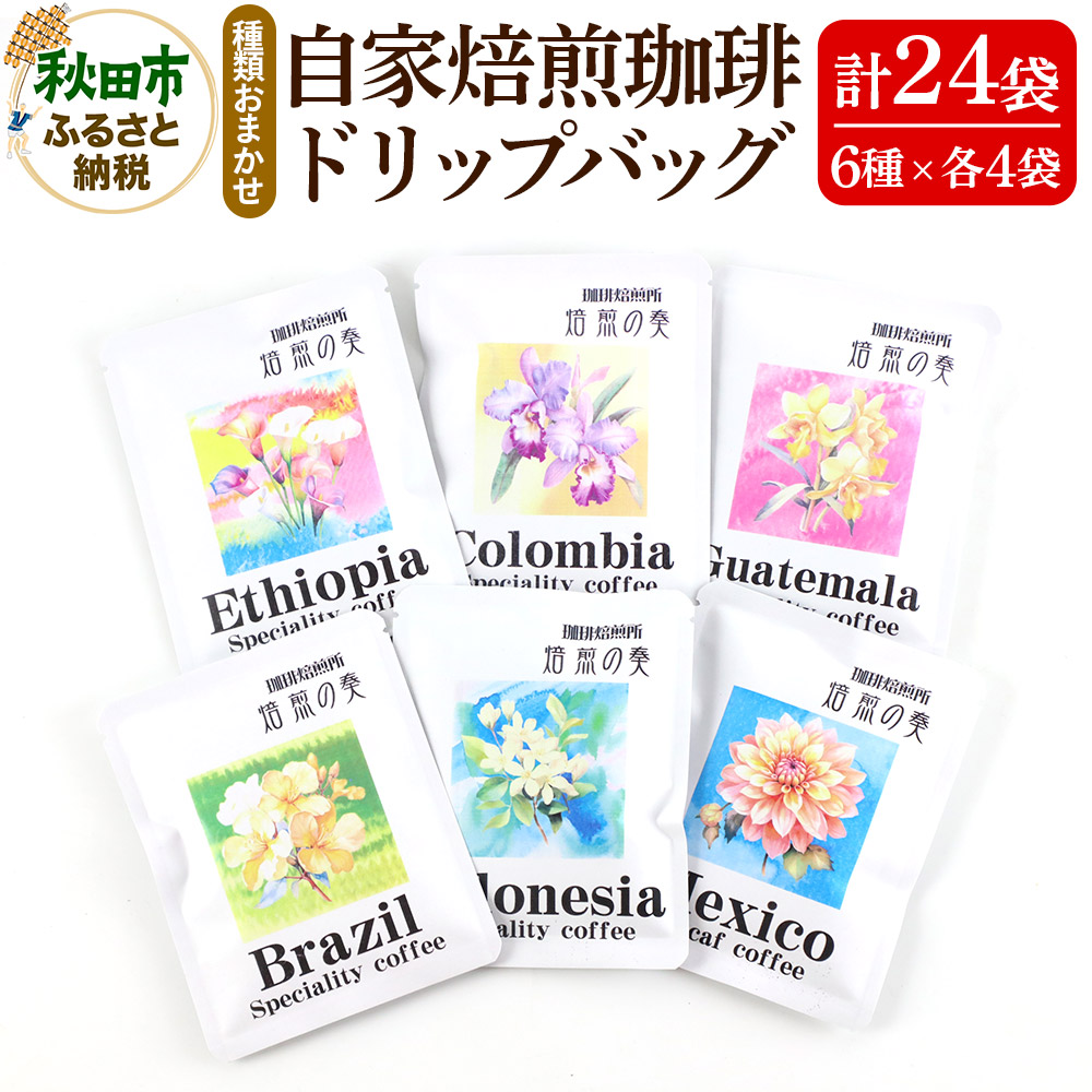  hbvobO܂6(e12g)×4  v24܏HcHcs15000ER[q[Eg