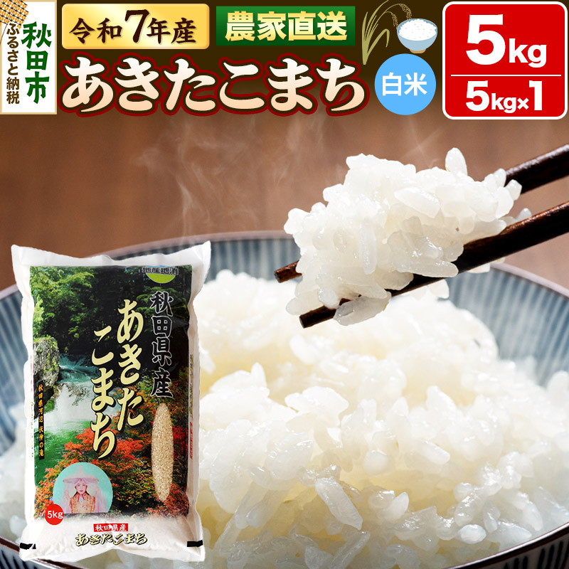 米 あきたこまち 5kg 令和7年産 新米 白米 田口商店 農家直送 秋田県産秋田県秋田市19000米・パン白米
