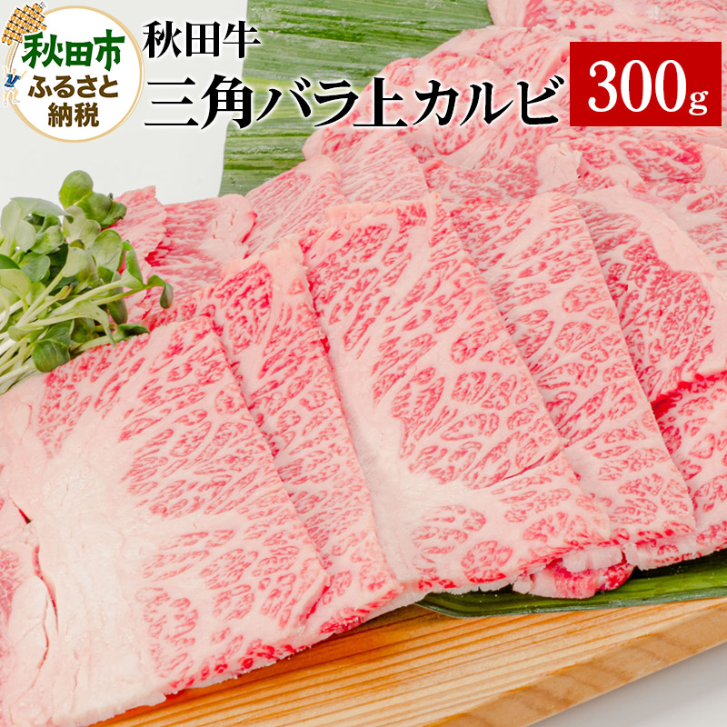 HcOpoJr 300g×1pbNHcHcs16500
