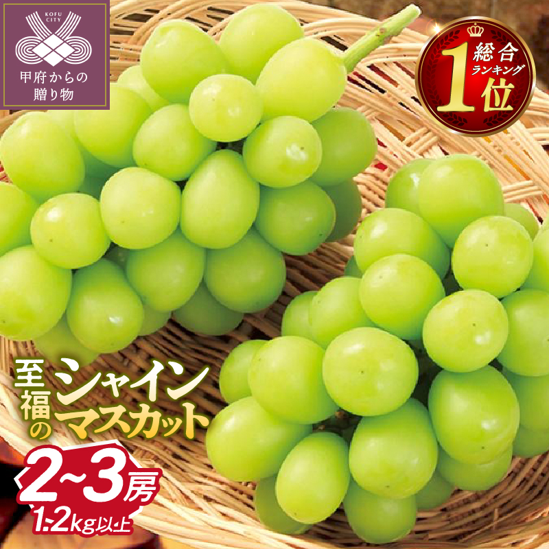 【総合1位獲得!!】〈2026年度配送分〉至福の山梨県産シャインマスカット 2〜3房(1.2kg以上)山梨県甲府市12000果物・フルーツ