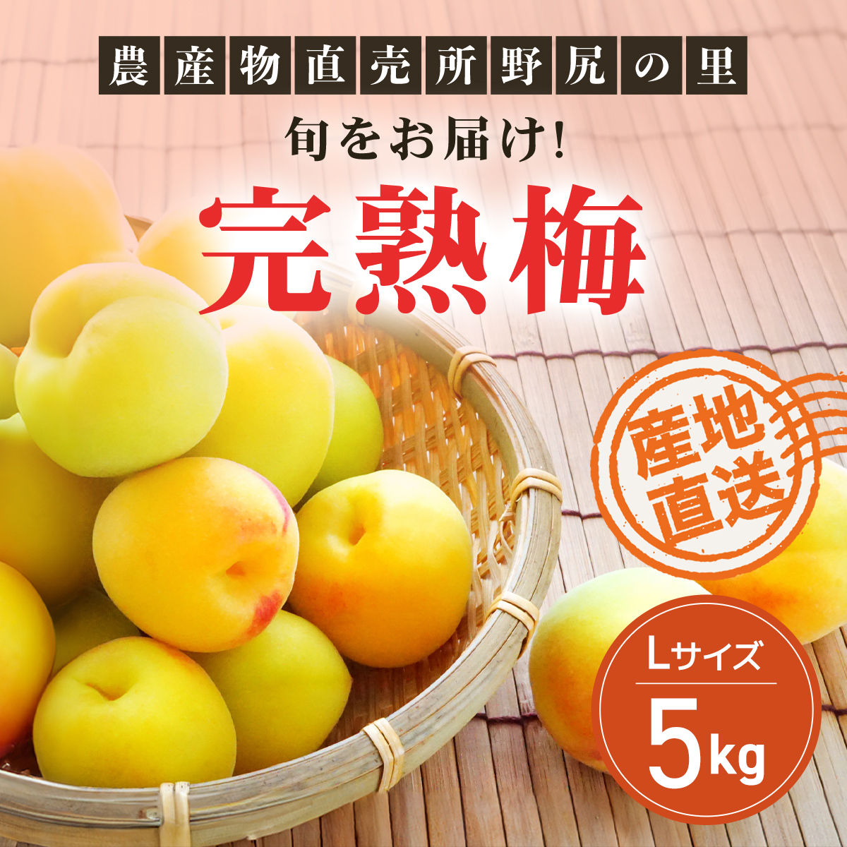 【2026年発送分先行予約】旬をお届け!完熟梅【Lサイズ5kg】 ANAR013群馬県安中市14000果物・フルーツその他 果物・フルーツ