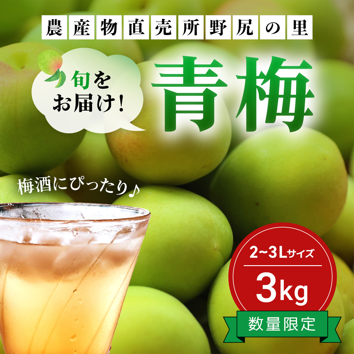 【2025年発送分先行予約】旬をお届け!青梅【2L〜3Lサイズ3kg】 ANAR016群馬県安中市11000野菜・きのこその他 野菜