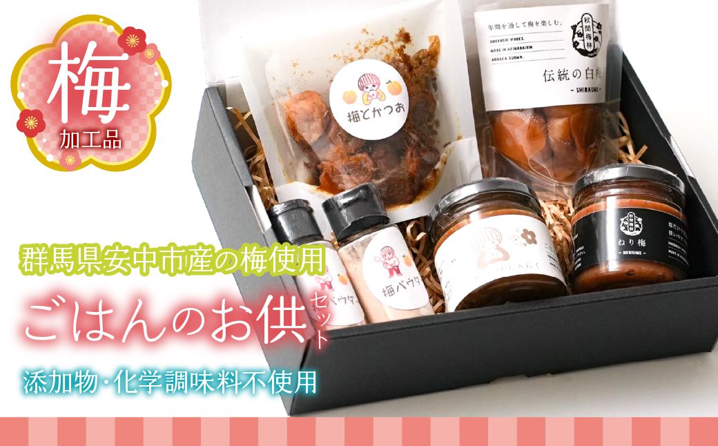 梅加工品【ごはんのお供セット】 ANBF001群馬県安中市16000鍋セット・総菜・加工食品漬物・梅干・キムチ
