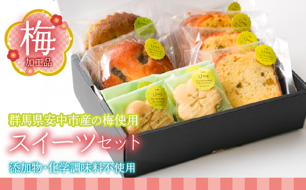 梅加工品【スイーツセット】 ANBF002群馬県安中市13000菓子・スイーツ焼き菓子