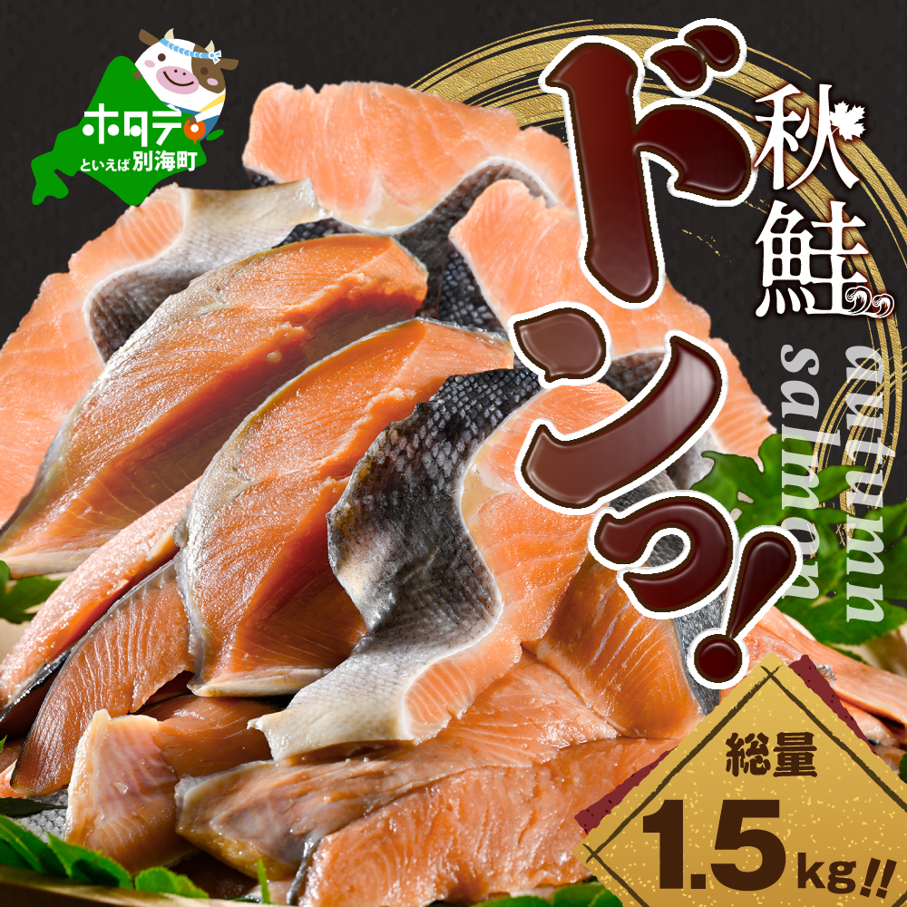 【訳あり】秋鮭ドンっ!無塩 秋鮭 切り身 1.5kg 【KN000PB06】北海道別海町16000魚介・海産物
