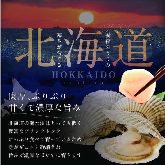 レア！在庫2点のみ 海洋科学技術センターの記念品！ 「みらい