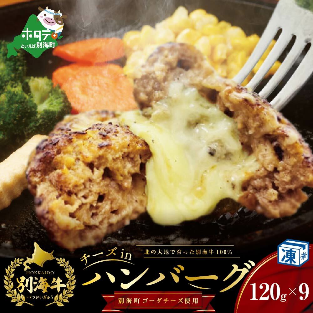 チーズインハンバーグ(120g×9個) ( 2万 2万円 20000円 )北海道別海町24000肉