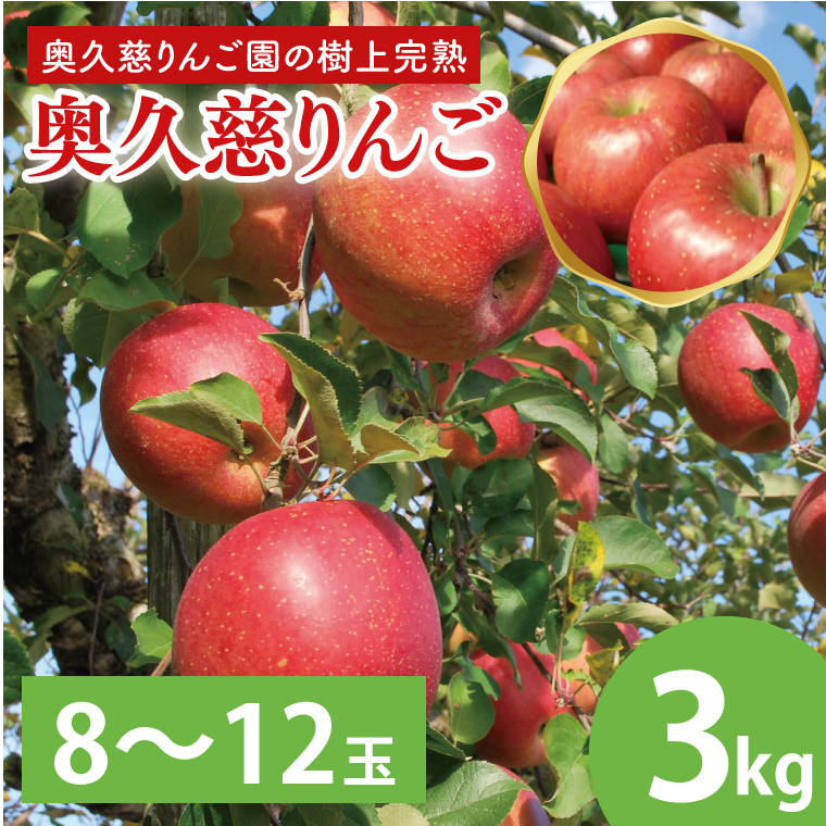 【数量限定・先行予約】【2025年9月中旬頃発送開始予定】奥久慈りんご園の樹上完熟 奥久慈りんご 3kg(8〜12玉)(AI003-1)茨城県大子町10000果物・フルーツりんご・梨