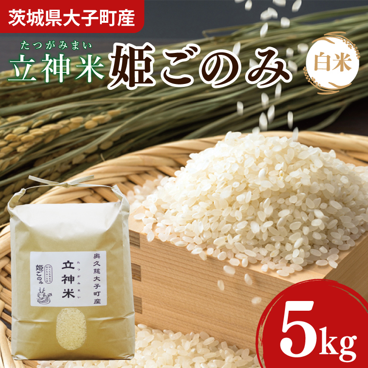 【新米】令和7年産 立神米「姫ごのみ」(白米)5kg|茨城県 大子町 コシヒカリ 米 コンテスト 受賞 生産者 大子産米 産地直送(BT045-1)茨城県大子町15000米・パン白米
