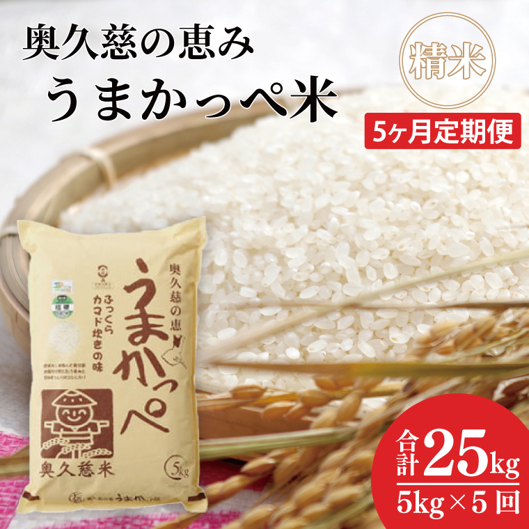 【5ヶ月定期便】奥久慈の恵 うまかっぺ米 5kg|茨城県 大子町 お米 白米 精米 ブランド米 銘柄米 食味値  定期 回数(AH006-2)茨城県大子町97000米・パン白米