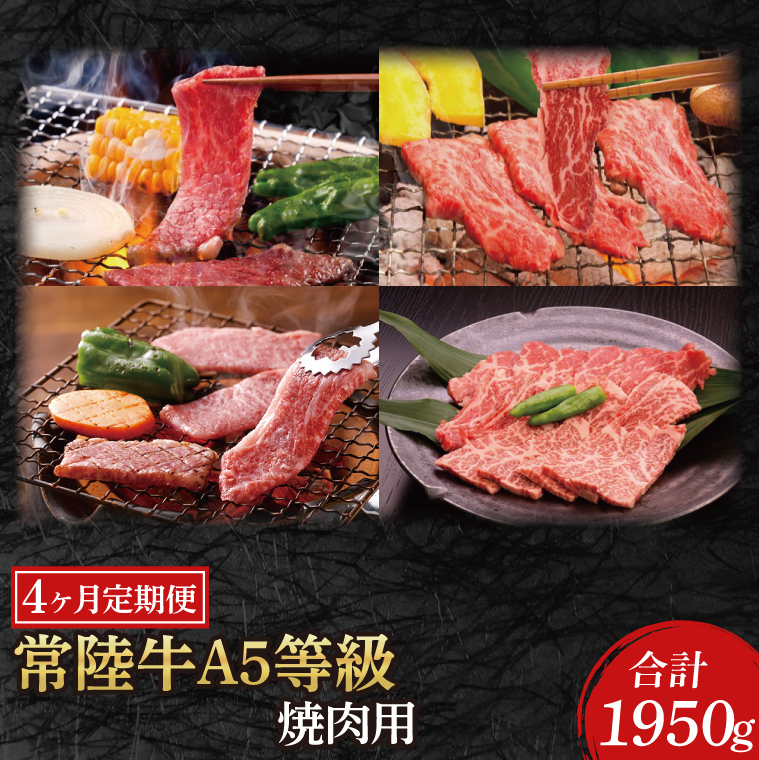 【4ヶ月定期便】常陸牛A5等級 焼肉用(もも肉・ヒレ肉・ロース肉・ランプ肉)(AC021)茨城県大子町108000肉牛肉