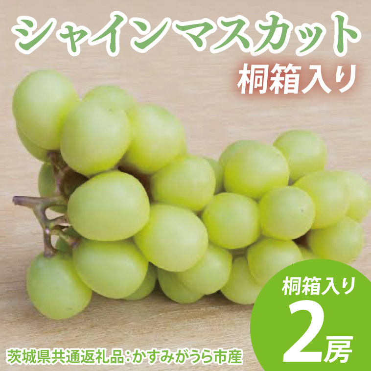 【先行予約】シャインマスカット 桐箱入り2房(茨城県共通返礼品:かすみがうら市産) ※2025年8月初旬〜2026年1月下旬頃に順次発送予定(CD042)茨城県大子町42000果物・フルーツマスカッ