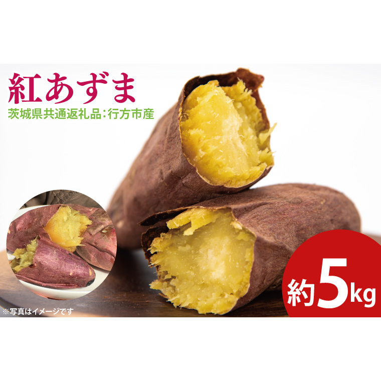 【先行予約】紅あずま 約5kg(茨城県共通返礼品:行方市産)※2025年10月上旬〜2026年3月下旬頃に順次発送予定(CD084)茨城県大子町16000野菜・きのこじゃがいも・イモ類