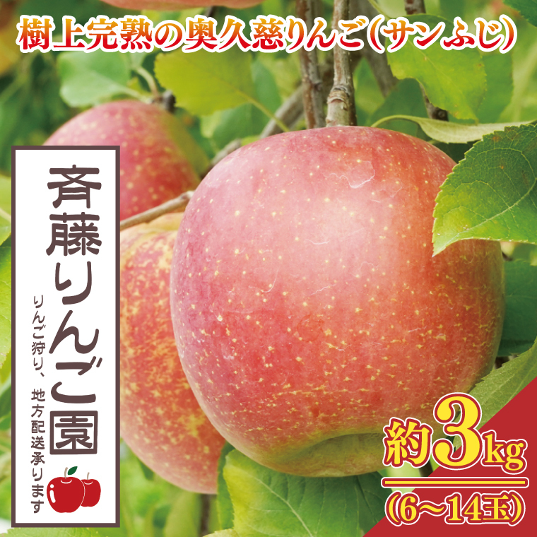 【数量限定/先行予約】樹上完熟の奥久慈りんご「サンふじ」約3kg(6〜14玉)【2025年11月上旬頃より順次発送予定】斉藤りんご園第2直売所|茨城県 大子町 林檎 果物 フルーツ 旬(CG007-1)茨