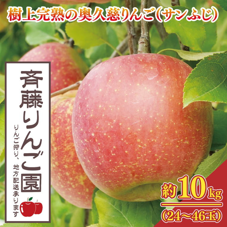 【数量限定/先行予約】樹上完熟の奥久慈りんご「サンふじ」約10kg(24〜46玉)【2025年11月上旬頃より順次発送予定】斉藤りんご園第2直売所|茨城県 大子町 林檎 果物 フルーツ 旬(CG009-1)