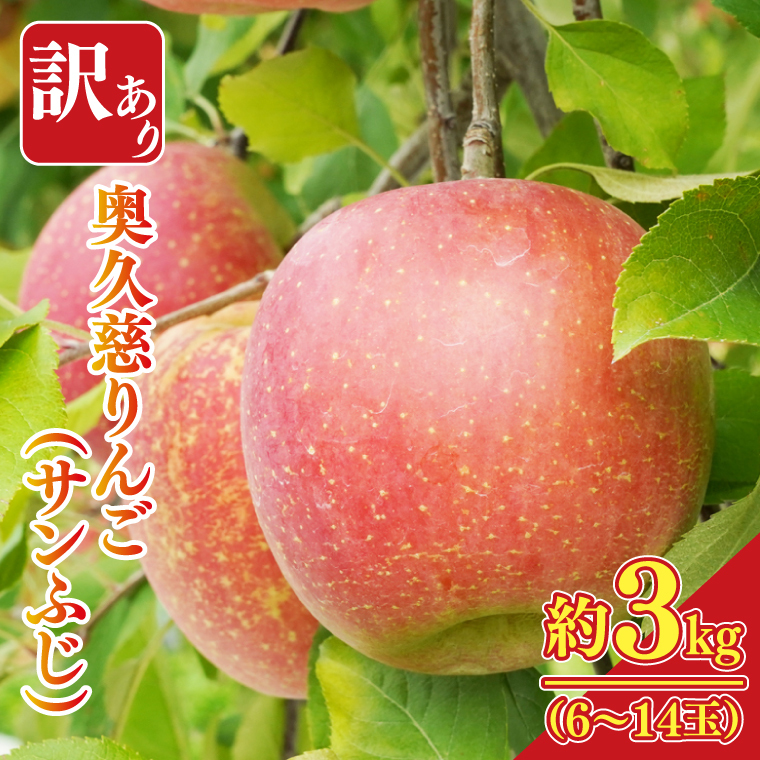 【先行予約】【訳あり】樹上完熟の奥久慈りんご「サンふじ」約3kg(6〜14玉)【2025年11月上旬頃より順次発送予定】不揃い 規格外 傷あり 色むら 家庭用|斉藤りんご園第2直売所 茨城県 大