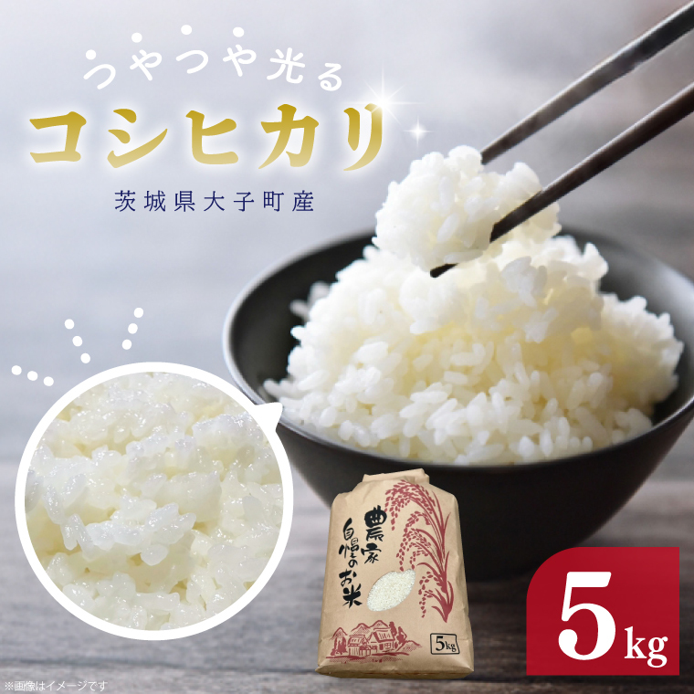 【 令和7年産】つやつや光る 新米コシヒカリ 5kg 菊池農園|茨城県 大子町 お米 白米 精米 産地直送(CL001-1)茨城県大子町17000米・パン白米