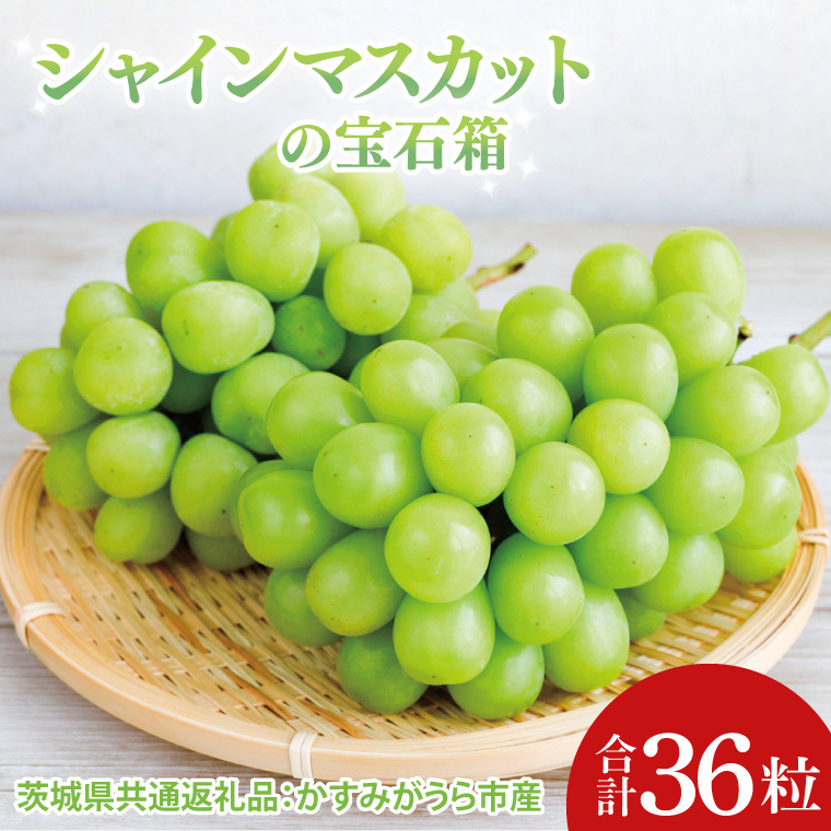 ys\zyΕzVC}XJbg̕Δ36i錧ʕԗiF݂sj|v[g  蕨 Ԃǂ  uhE }XJbg 錧 qiCD190j錧q