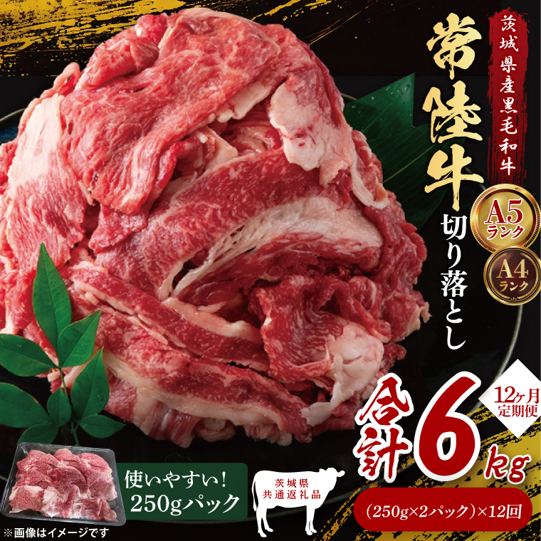 【茨城県共通返礼品】【12ヶ月定期便】常陸牛切り落とし500g(250g×2)|ブランド牛 銘柄牛 和牛 黒毛和牛 国産 A5・A4ランク 等級 お肉 牛肉 牛丼 すき焼き 炒め物 小分け 定期 12回 毎月 茨城