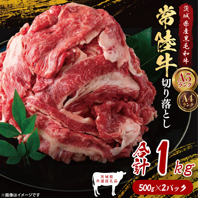 【茨城県共通返礼品】常陸牛切り落とし1kg(500g×2)|ブランド牛 銘柄牛 和牛 黒毛和牛 国産 A5・A4ランク 等級 お肉 牛肉 牛丼 すき焼き 炒め物 小分け 茨城県 大子町(DD010)茨城県大子町130