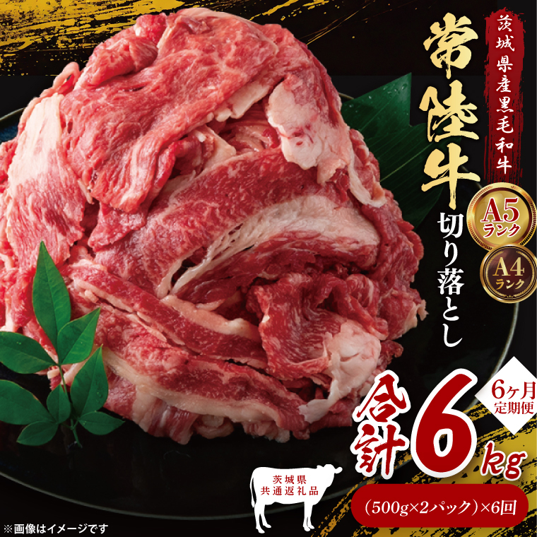 【茨城県共通返礼品】【6ヶ月定期便】常陸牛切り落とし1kg(500g×2)|ブランド牛 銘柄牛 和牛 黒毛和牛 国産 A5・A4ランク 等級 お肉 牛肉 牛丼 すき焼き 炒め物 小分け 定期 6回 毎月 茨城県