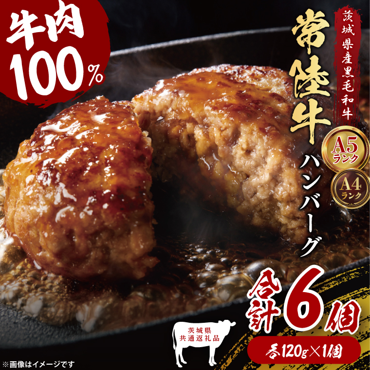 y錧ʕԗiz헤100 no[O 120g×6buh  a јa Y A5EA4N    ^   錧 qiDD020j錧q10000Zb