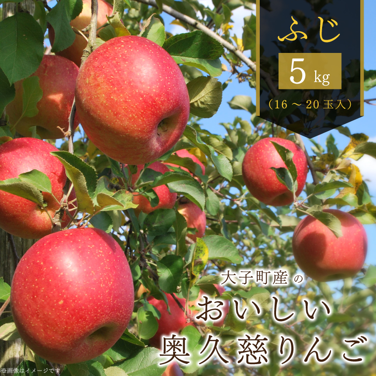 【2025年11月下旬以降順次発送】大子町産のおいしい奥久慈りんご(ふじ)5kg|茨城県 大子町 奥久慈 りんご リンゴ フジ ふじ 蜜 蜜入り フルーツ ふるーつ 果実 かじつ くだもの 果物(AH010