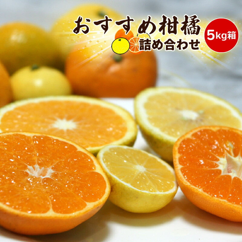 【先行予約】1月おすすめ柑橘詰め合わせ5kg箱<出荷開始:2026年1月5日~1月25日>【 フルーツ 神奈川県 小田原市 】神奈川県小田原市17000果物・フルーツみかん・柑橘類