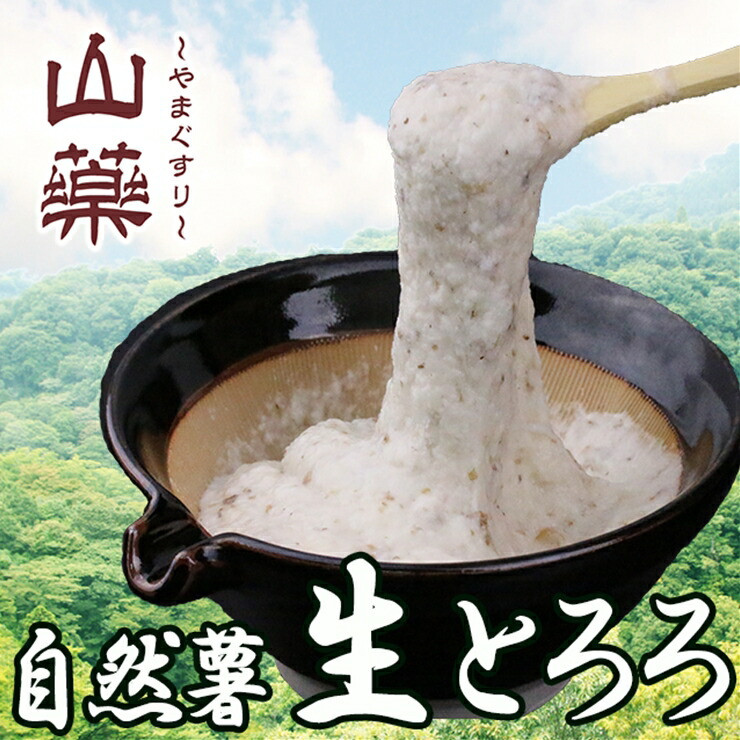 自然薯の味をお楽しみください。自然薯生とろろ100g×5pセット【とろろ 極上とろろ 山芋 箱根 お家用 家庭用 国産 セット商品 自然薯 味付とろろ 神奈川県 小田原市 】神奈川県小田原市1