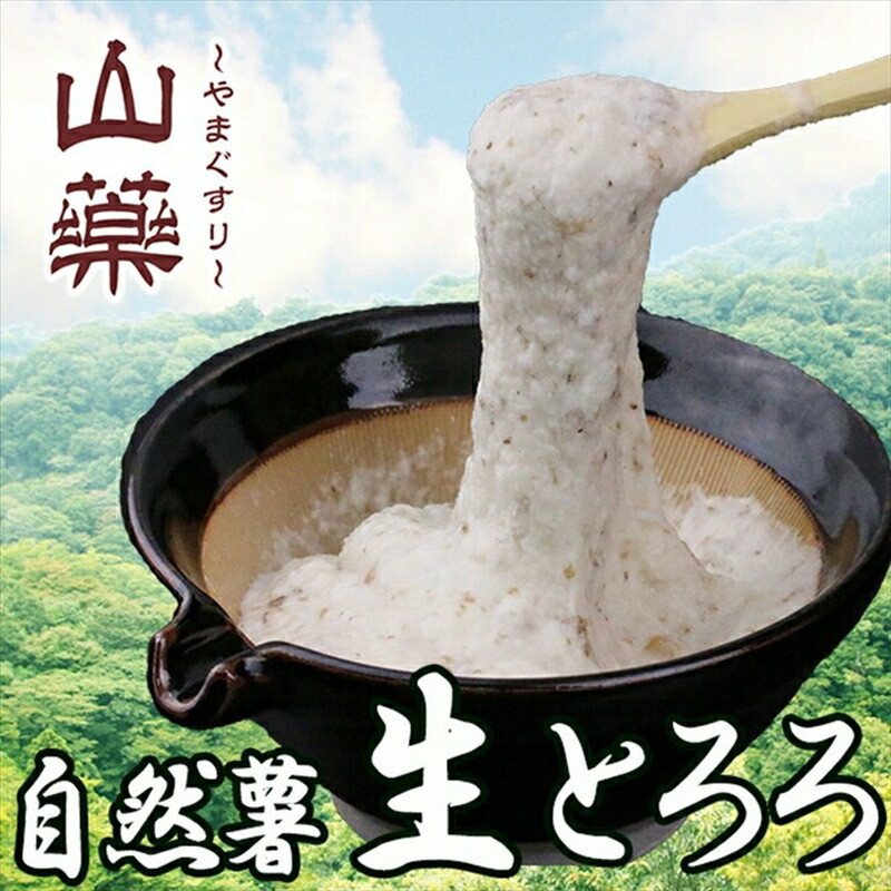 自然薯の味をお楽しみください。自然薯生とろろ100g×10pセット【とろろ 極上とろろ 山芋 お家用 家庭用 国産 セット商品 自然薯 神奈川県 小田原市 】神奈川県小田原市33000野菜・きのこ