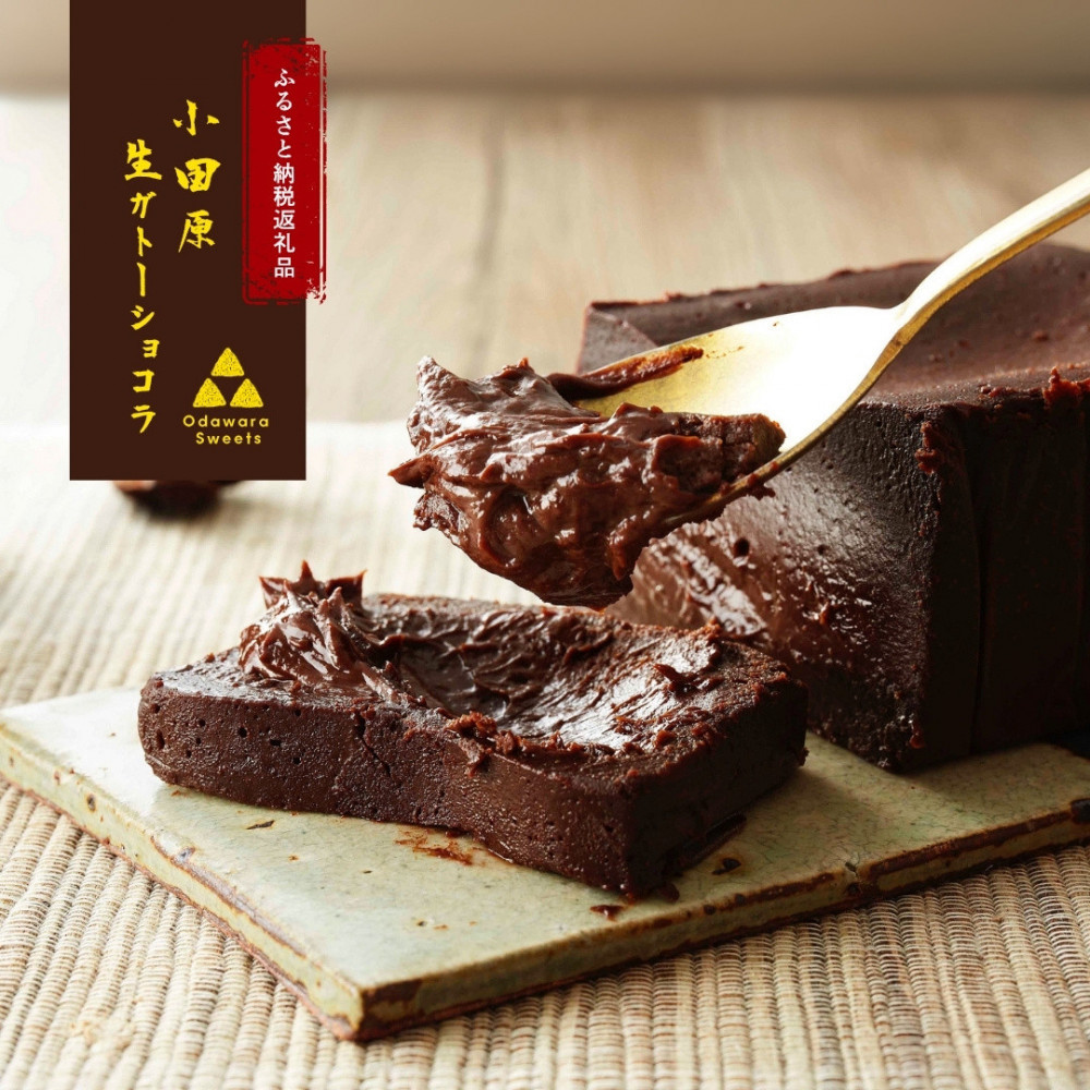 極上の口溶け。幸せの生ガトーショコラ 450g 【 高級 濃厚  極上スイーツ グルテンフリー チョコ ショコラテリーヌ 高品質クーベルチュールチョコレート使用 一流シェフ 神奈川県 小田原市