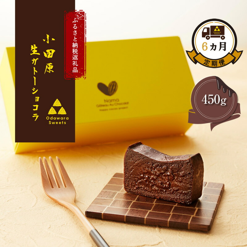 【定期便6ヶ月】極上の口溶け。幸せの生ガトーショコラ 450g【 高級 濃厚  極上スイーツ グルテンフリー チョコ ショコラテリーヌ 高品質クーベルチュールチョコレート使用 一流シェフ 神