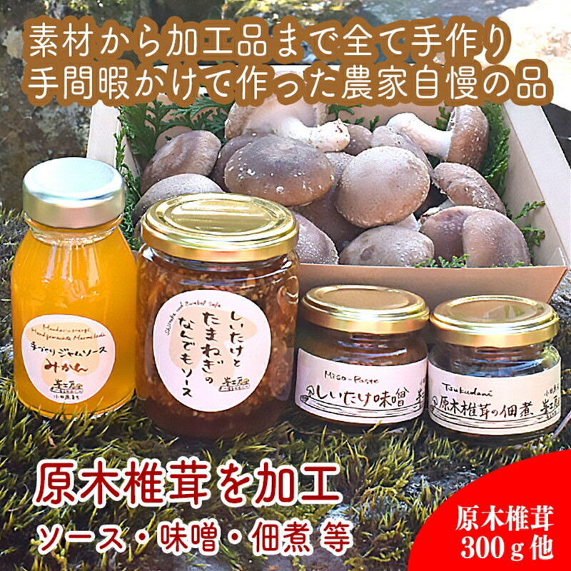 原木生椎茸と椎茸のソース&味噌&佃煮、椎茸の廃ホダを肥料に育ったみかんジャムのセット【家庭用 自宅用 贈答品 贈答用 ギフト お取り寄せ お中元 お歳暮 贈り物 お祝い 神奈川県 小田原