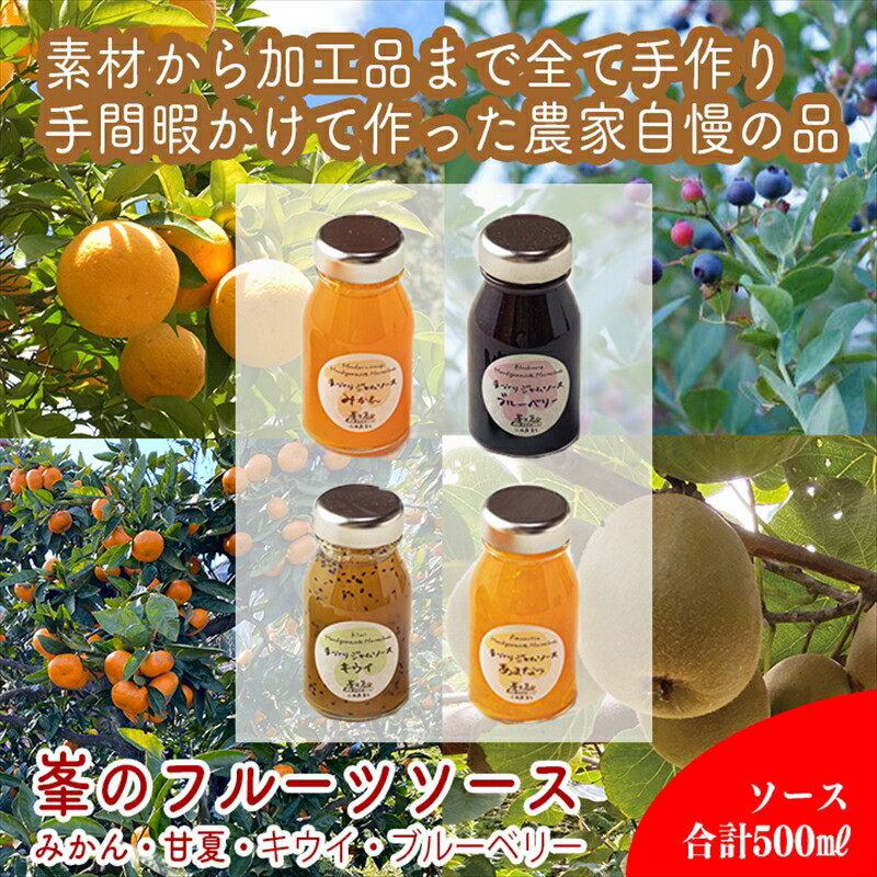 手づくりジャムソース 4本セット 手作りみかん キウイ あまなつ ブルーベリー 125ml 詰め合わせ ギフト 【 家庭用 自宅用 贈答品 贈答用 ギフト お取り寄せ お中元 お歳暮 贈り物 お祝い 神奈