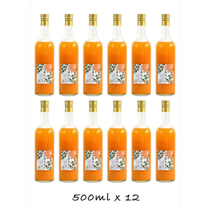 【定期便 3回】小田原産江之浦みかん100%ストレートジュース500ml12本神奈川県小田原市151000お茶・飲料果汁・野菜飲料