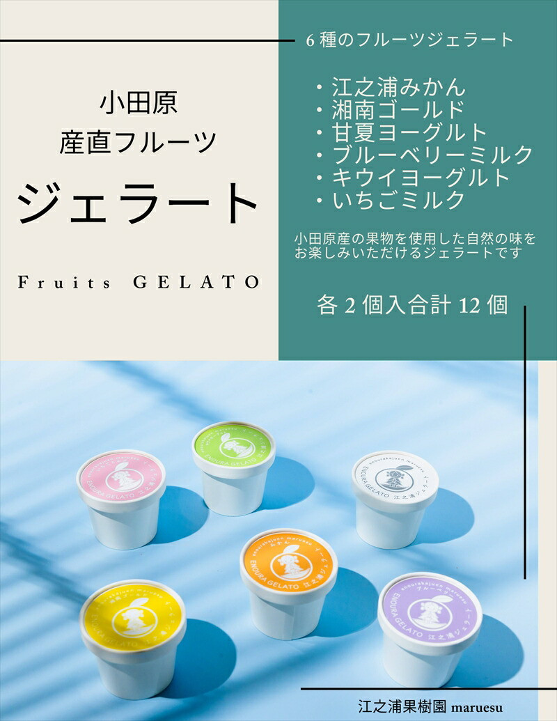 【定期便 3回】 小田原産江之浦ジェラート6種(みかん、湘南ゴールド、ブルーベリーミルク、いちごミルク、キウイヨーグルト、甘夏ヨーグルト)120mlカップ各2個合計12個神奈川県小