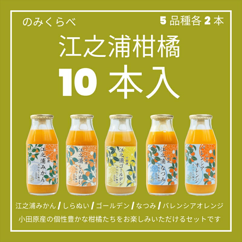 小田原産江之浦みかんジュース5種のみくらべ10本セット うんしゅう・しらぬい・ゴールデン・なつみ・バレンシアオレンジ100%ストレートジュース180ml各2本合計10本神奈川